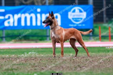 M_IMG_3759.jpg