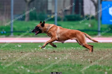 M_IMG_3764.jpg