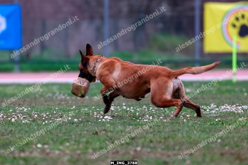 M_IMG_3788.jpg