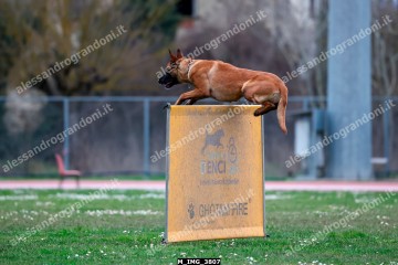 M_IMG_3807.jpg