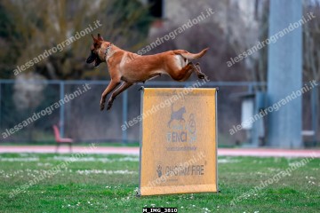 M_IMG_3810.jpg