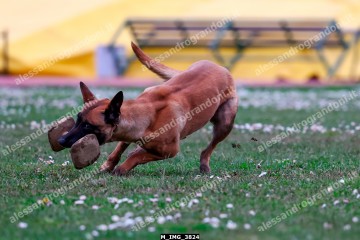 M_IMG_3824.jpg