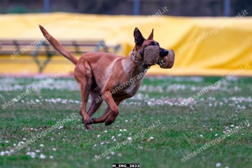 M_IMG_3833.jpg
