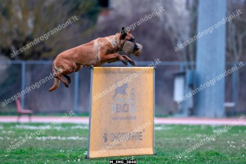M_IMG_3840.jpg