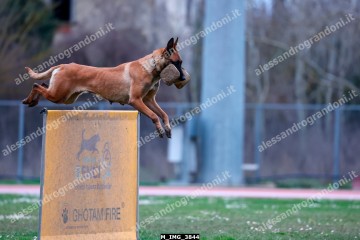 M_IMG_3844.jpg