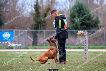 M_IMG_3852.jpg