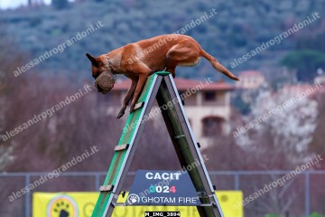 M_IMG_3894.jpg