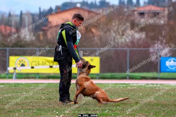 M_IMG_3898.jpg