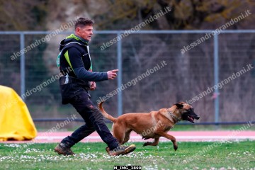 M_IMG_3899.jpg