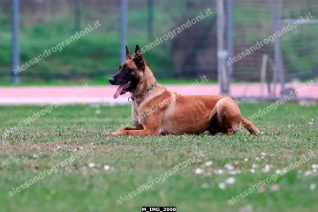 M_IMG_3906.jpg