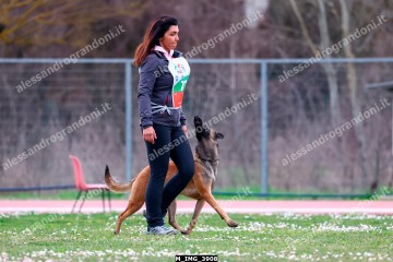 M_IMG_3908.jpg