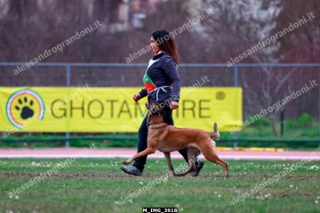 M_IMG_3918.jpg