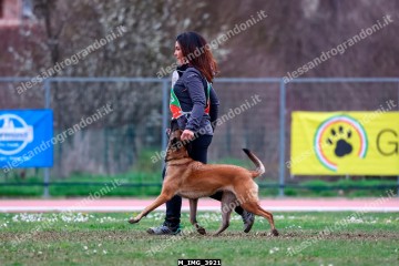 M_IMG_3921.jpg