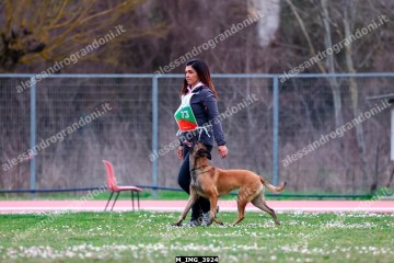 M_IMG_3924.jpg