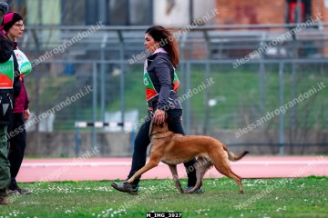 M_IMG_3927.jpg