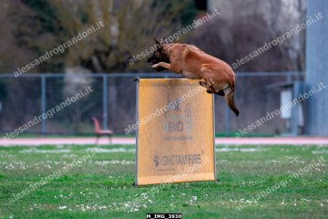 M_IMG_3930.jpg