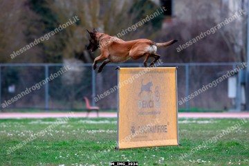 M_IMG_3934.jpg