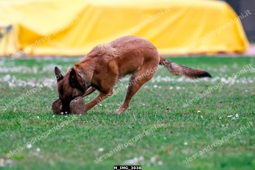 M_IMG_3938.jpg