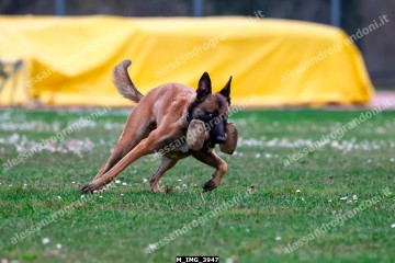 M_IMG_3947.jpg