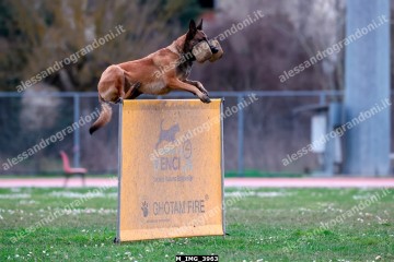 M_IMG_3963.jpg