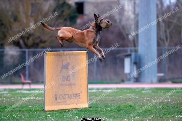 M_IMG_3967.jpg