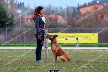 M_IMG_3984.jpg