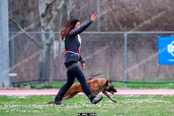 M_IMG_3986.jpg