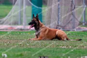 M_IMG_3995.jpg