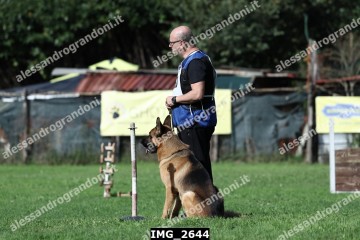 IMG_2644.jpg
