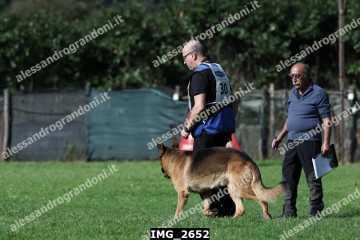 IMG_2652.jpg