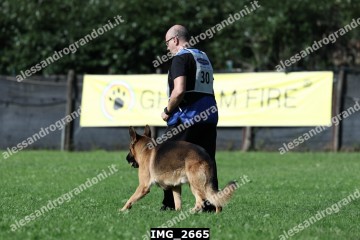 IMG_2665.jpg