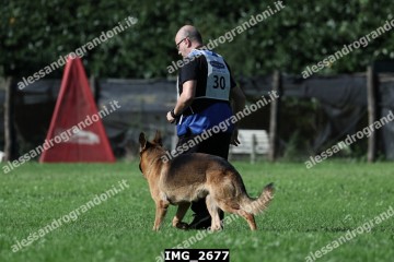 IMG_2677.jpg