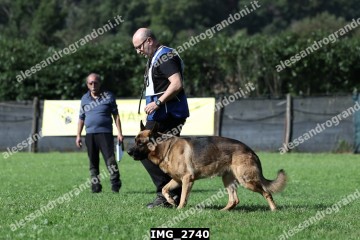 IMG_2740.jpg