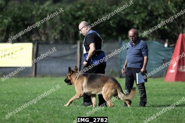 IMG_2782.jpg