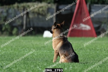 IMG_2793.jpg