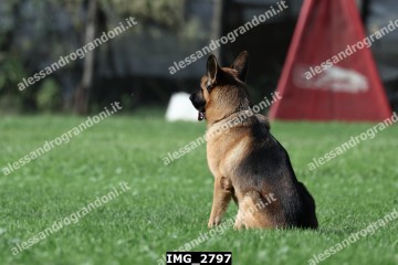 IMG_2797.jpg