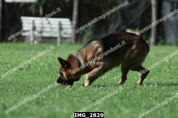 IMG_2829.jpg