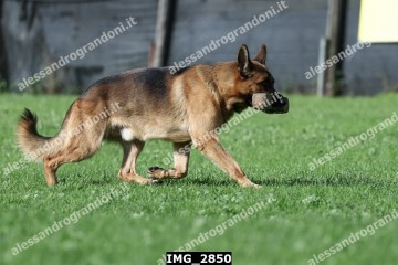 IMG_2850.jpg