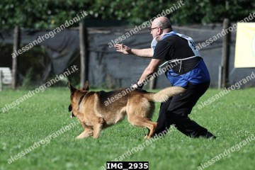 IMG_2935.jpg