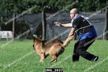 IMG_2937.jpg