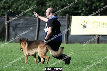 IMG_2970.jpg