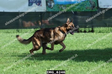 IMG_6246.jpg