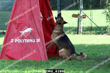 IMG_6286.jpg