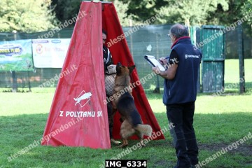 IMG_6334.jpg