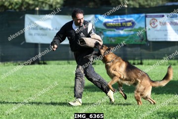 IMG_6365.jpg