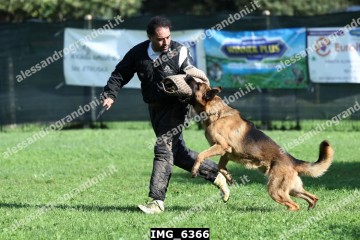 IMG_6366.jpg