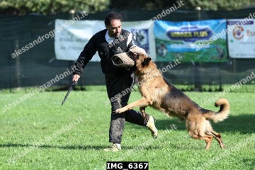 IMG_6367.jpg