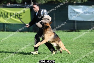 IMG_6379.jpg