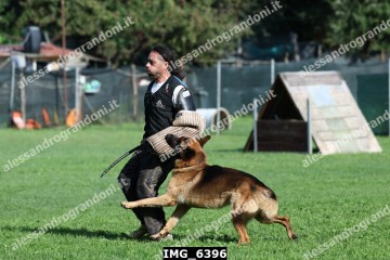 IMG_6396.jpg