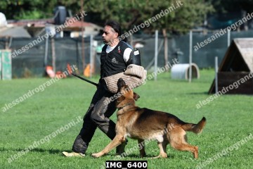IMG_6400.jpg